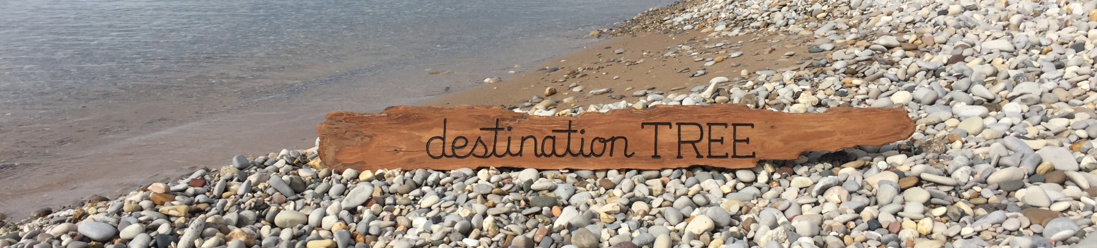Destination Tree Beach Logo