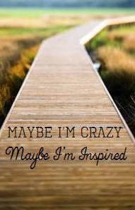 Maybe I’m Crazy, Maybe I’m Inspired