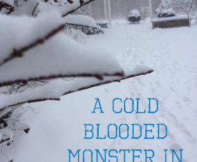 Cold Blooded Monster in Ohio…