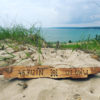 custom driftwood coordinate sign