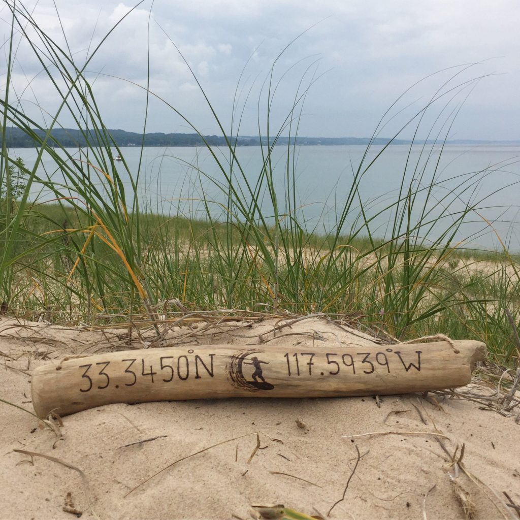 Coastal Sea Turtle/Shell/Sand Dollar/Starfish Driftwood Sign